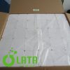 137J7DH7 IMG 1177