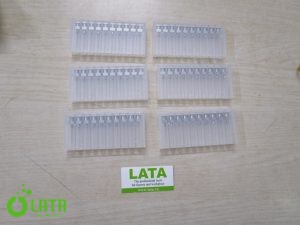 1396AC30 IMG 9944