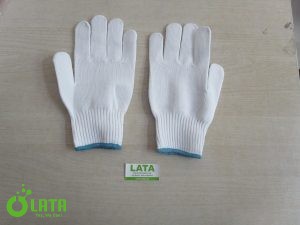 13A4H3FM IMG 5216