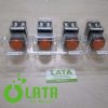 13BPGCRK IMG 0425