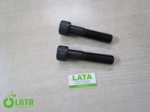 13BRTQN2 IMG 0938