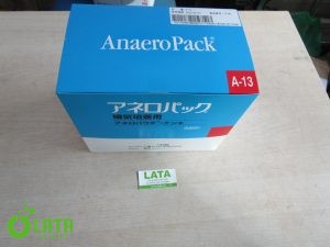 13CNR8FJ IMG 3299