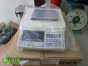 13E0C55U IMG 4961