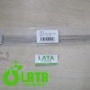 13MJCMOR IMG 0277