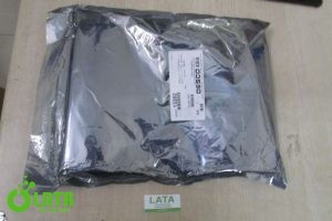 13MJCVJD IMG 0349 1