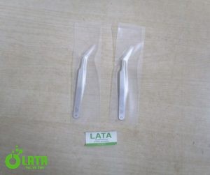 13NCBE1N IMG 3850 1