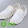 A6QTEA1U 1 3909 01