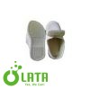 A6RVLP0Q 83