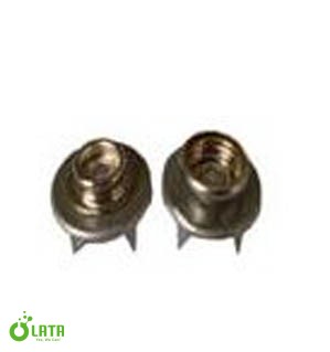 Male and Female Stud