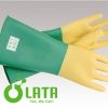 A6TNQPO6 12