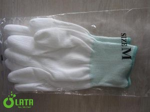 găng tay 2