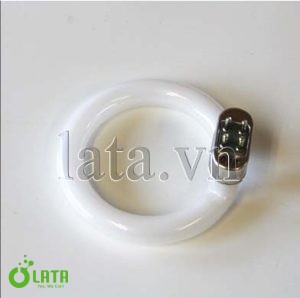 Bóng đèn máy kiểm màu