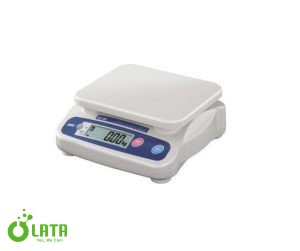 Electronic balance