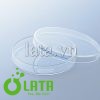 A8NFFMU8 L 01840301