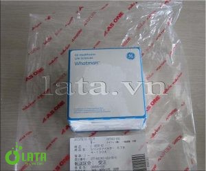Filter Syringe