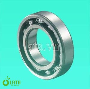 Bearing NTN