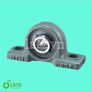 Bearing NTN1