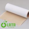 A8QICMA8 A6SVMCGP 6.1