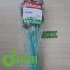 AU5TAK9T p scaled