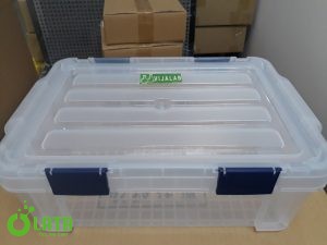 AU6DB2ID p