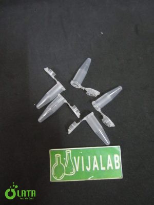 AUQ9L0SM P scaled