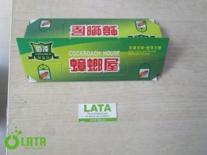 Bẫy gián