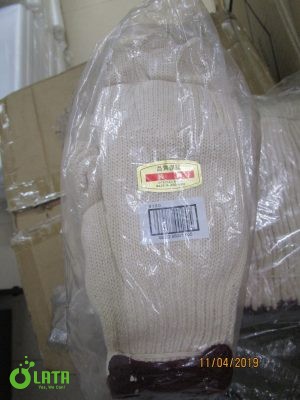 B10RKOSE IMG 1159