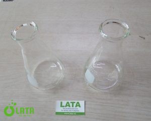 Bình tam giác