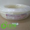 B119GLHT IMG 4553