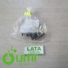 B119HA9A IMG 4590