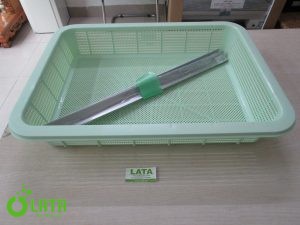 B11A2PNP IMG 4665