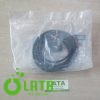 B11I4RTP IMG 1951