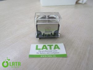 B11QBEPG IMG 4836