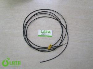 B13D83NO IMG 6571
