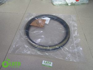 B13DAS1E IMG 6591