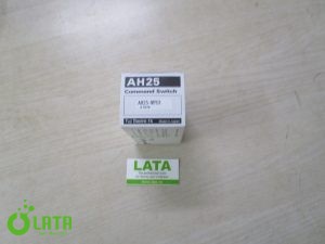 B15DKUAS IMG 6779