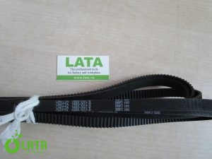 B15VL77M IMG 6867