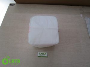 B18PDSNE IMG 6974