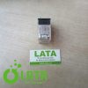 B19BF4PV IMG 6949