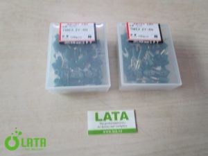 B19JB3TR IMG 9441