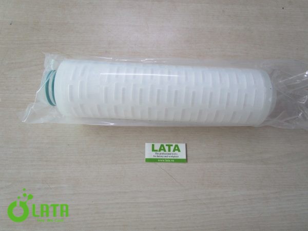 Củ lọc - Ảnh 2
