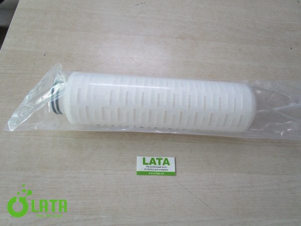 Củ lọc - Ảnh 2