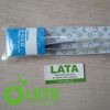 B1E6175L IMG 8065