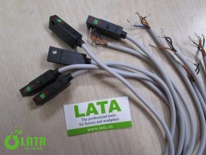 B1IA8ERF IMG 8462