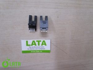 B1IACTBG IMG 8472
