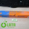 B1IQQBHP IMG 8779