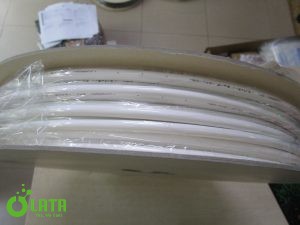 B1LUP0JK IMG 0354