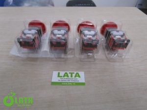 B1LV2SMJ IMG 0451