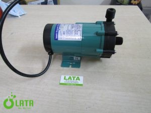 B1M6P62S IMG 0559