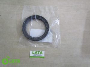 B1RA20UK IMG 2811